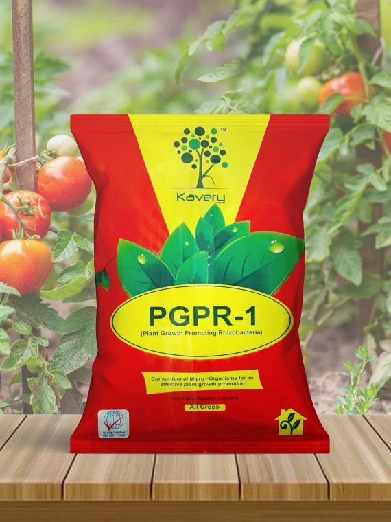 Product Plant Growth Promoting Rhizobacteria  (PGPR Mix – 1)